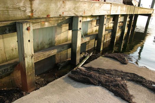 image 7 - dock